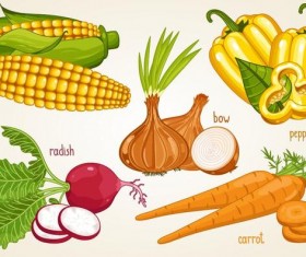 Fresh vegetables with name vector illustration 05