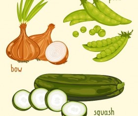 Fresh vegetables with name vector illustration 07