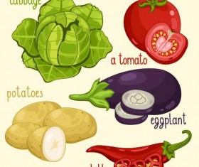 Fresh vegetables with name vector illustration 10
