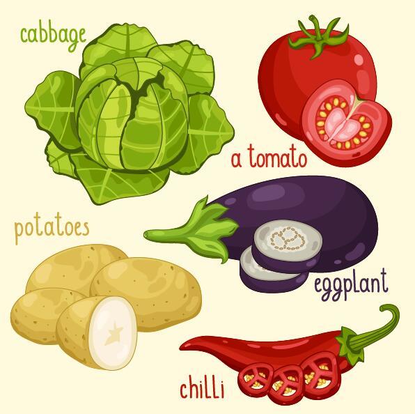 Fresh vegetables with name vector illustration 10