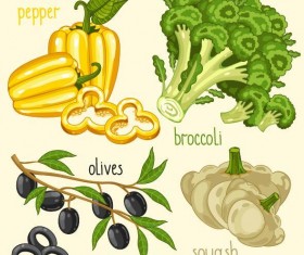 Fresh vegetables with name vector illustration 11