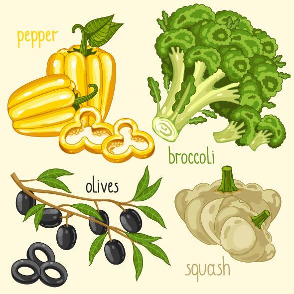 Fresh vegetables with name vector illustration 11