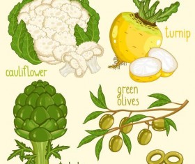 Fresh vegetables with name vector illustration 12