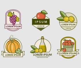 Fruity Labels Vintage design vector