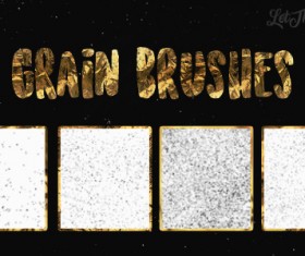 Grain Photoshop Brushes