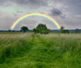 Grass sky after the rain Rainbow Bridge Stock Photo