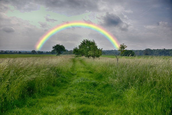 rainbow bridge for the sky