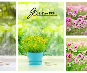 Green POP Photoshop Action