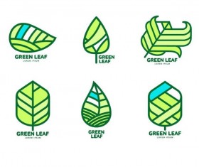 Green leaf logos design vector