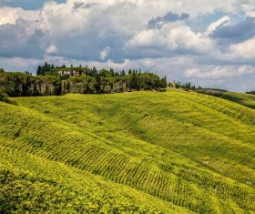 Hillside beautiful terraces Stock Photo