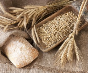 Italian ciabatta bread and wheat Stock Photo
