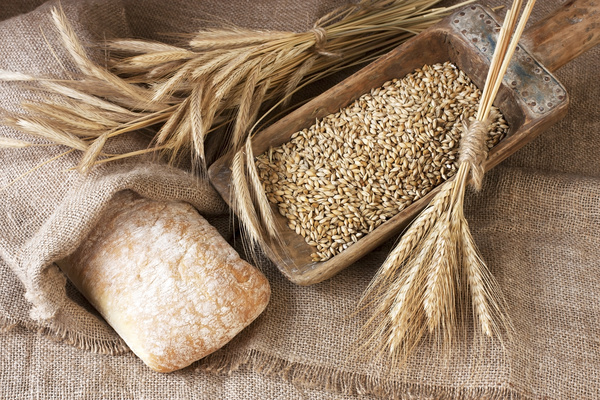 Italian ciabatta bread and wheat Stock Photo