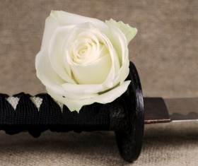 Japanese Katana and Chrysanthemum Stock Photo