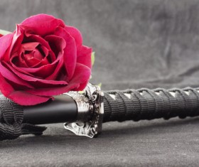 Japanese katana and red chrysanthemum Stock Photo