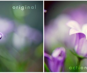 Lighten up Photoshop Action