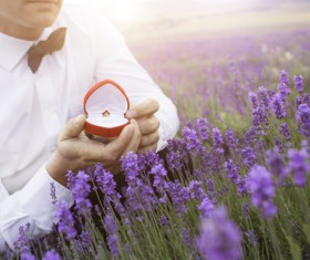 Male holding a wedding ring Stock Photo