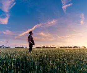 Man standing alone on rice field Stock Photo