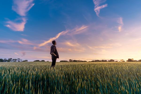 Man standing alone on rice field Stock Photo