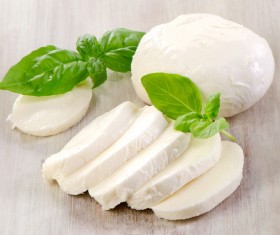 Mozarelle cheese Stock Photo 01