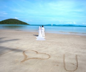 Newly married couples Stock Photo 01