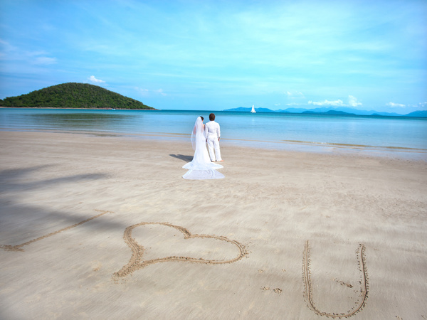 Newly married couples Stock Photo 01