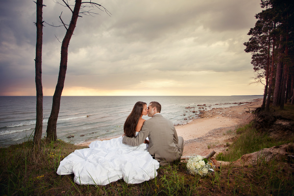 Newly married couples Stock Photo 02