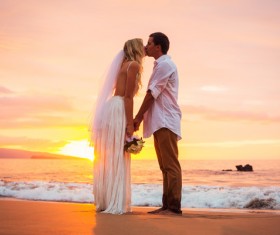 Newly married couples Stock Photo 04
