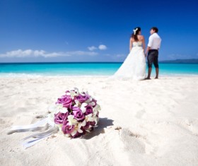 Newly married couples Stock Photo 05