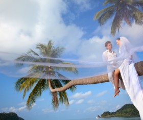 Newlyweds sitting in the tree