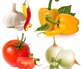 Onion tomato with garlic and pepper vector
