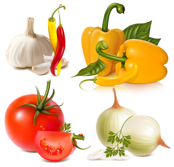 Onion tomato with garlic and pepper vector
