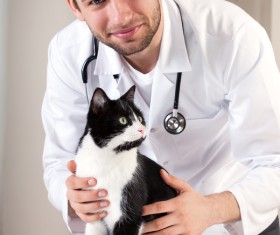Pet doctor Stock Photo 02