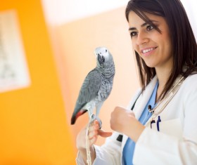 Pet doctor Stock Photo 05