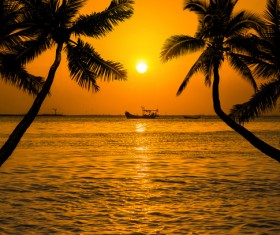 Photograph beautiful sunset Stock Photo 13