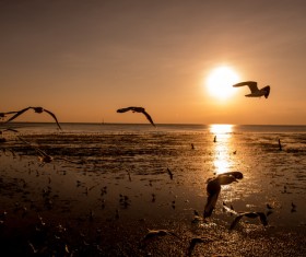 Photograph beautiful sunset Stock Photo 15