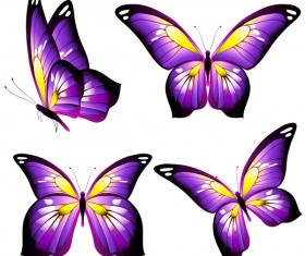 Purple beautiful butterfies vector