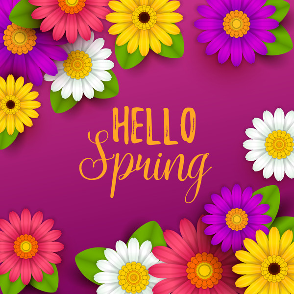 Purple spring background with beautiful flower vector 01