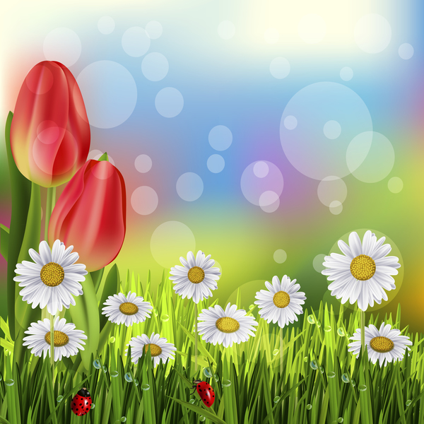 Red tulips with white flower vector background