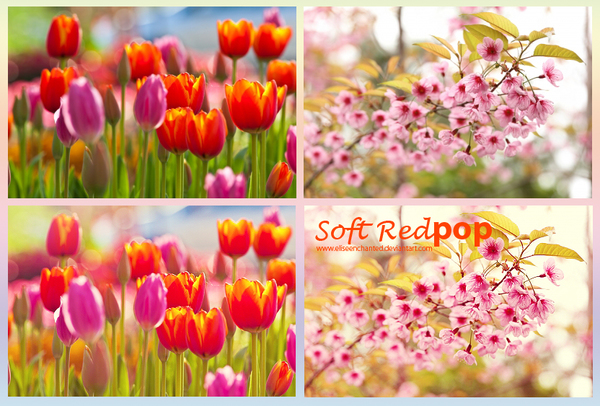 Soft Red Photoshop Action