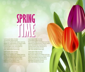 Spring colored tulips background vector