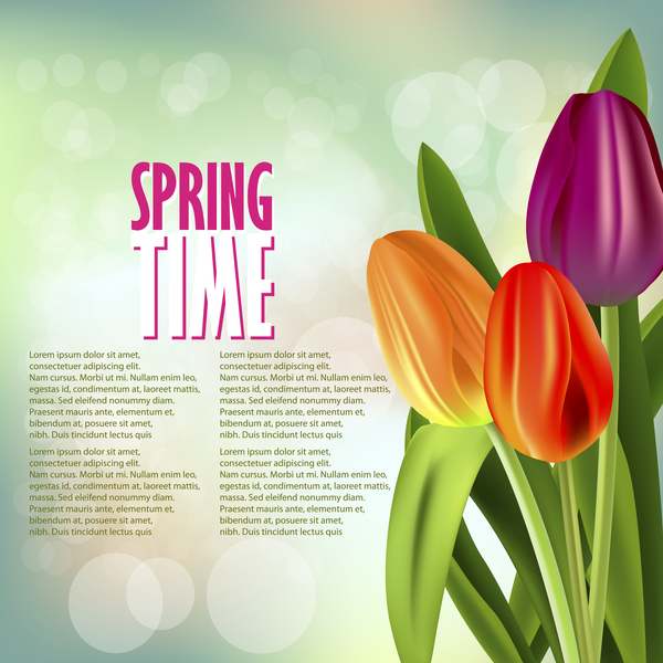 Spring colored tulips background vector