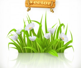 Spring grass 3d vector
