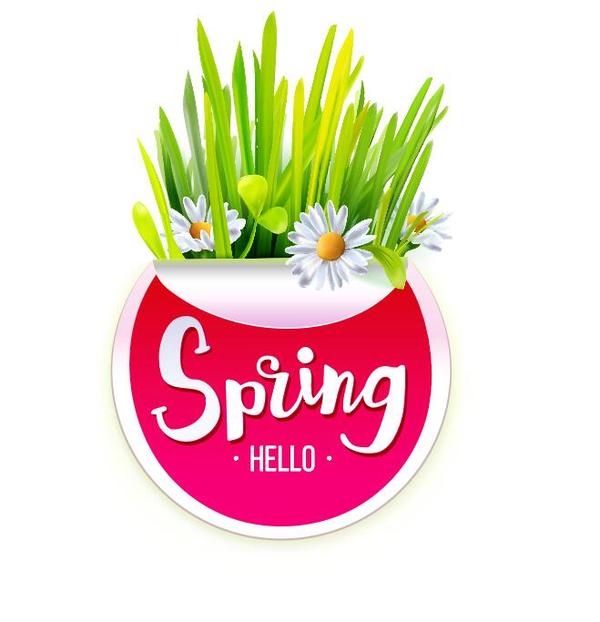 Spring sticker with white flower vector