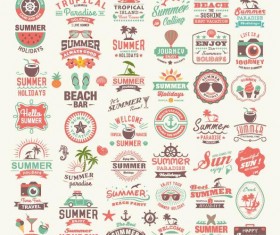 Summer labels and typography and badge vectors set