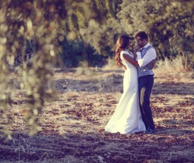 Sweet newlywed couple photos Stock Photo 01