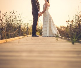 Sweet newlywed couple photos Stock Photo 02