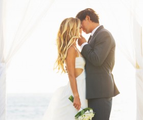 Sweet newlywed couple photos Stock Photo 03