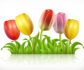Tulips flowers and spring grass 3d vector
