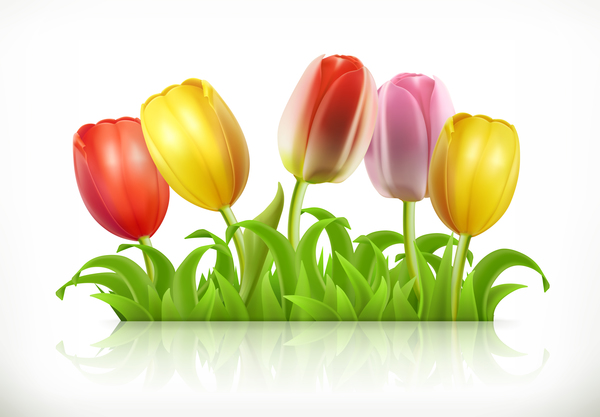 Tulips flowers and spring grass 3d vector