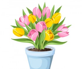 Tulips in pot vector material
